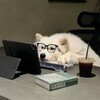 电报频道的标志 ff3d5ga — 海内外支付通道/跑分通道搭建