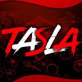 Logo saluran telegram ff_tasla — TASLA_VPN