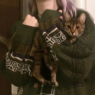 Логотип телеграм канала @ffaawwnn — свитер с одуванчиками.