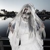 Логотип телеграм канала @fffhh1w — dolliess