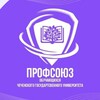 Логотип телеграм канала @fflprofcom — Профбюро факультета иностранных языков