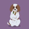Логотип телеграм канала @fgitaxb — Спаниель на стиле!