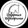 Логотип телеграм канала @fhhr1ru — Федерация ХоббиХорсинга России