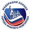 Логотип телеграм канала @fhnn_rf — ФХНН