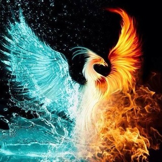 Telegram channel https://t.me/Fhoeix_iran2 logo