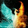 لوگوی کانال تلگرام fhoeix_iran2 — 🐦‍🔥 ققنوس⚡IRAN2