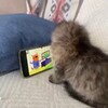 Логотип телеграм канала @ficha_1337 — фичко