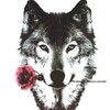 Logo of telegram channel fichier911 — ❣️le poète 🍒 du Buzz ✍️