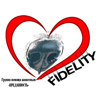 Логотип телеграм канала @fidelityawg — Мини-приют "ПРЕДАННОСТЬ"🐶🐱🐼🐯🐮