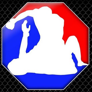 Логотип телеграм канала @fight60fps — Fight Video
