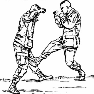 Логотип телеграм канала @fighting_techniques — Приемы самообороны | Self defense techniques