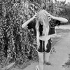 Логотип телеграм канала @fijdjbdk — ЦИТАТЫ🖤