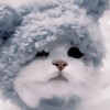 Логотип телеграм канала @fikbook_favorites — Фикбук премиум~💟