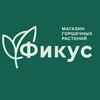 Логотип телеграм канала @fikus_orel — Фикус_Орел