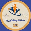 Telegram channel ملفات بكالوريا ( نيردات البكالوريا ) logo
