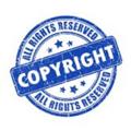 Logo saluran telegram filescopyright — CopyRight Course Leaks
