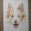 Logo of telegram channel filiwerart — Filiwer