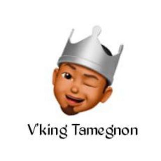 Logo de la chaîne télégraphique filmsseriebande - V’KING STORY BP( Bande Photographié)💽🖥