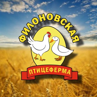Логотип телеграм канала @filonovskayu_ptiseferma — 🐣Филоновская птицеферма🐥