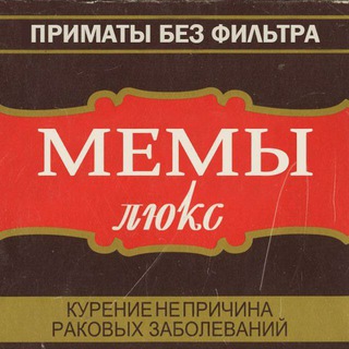 Логотип телеграм канала @filtern_t — ✙Примати без фільтру✙
