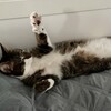 Логотип телеграм канала @filyaslife — Филя’s LIFE