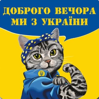 Логотип телеграм -каналу financecats — Finance Cats from Ukraine