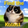 Логотип телеграм канала @find_the_kotost — Найди Котость