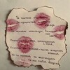 Логотип телеграм канала @finka8292 — Дикая вишня