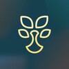 Telegram channel Finlit.uz - финансовая грамотность logo