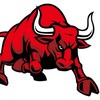 टेलीग्राम चैनल का लोगो finobulltrading — FINOBULL_TRADING