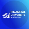 Telegram channel FINVLD logo