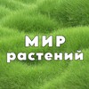 Логотип телеграм канала @fiowerbliss — Мир Растений 🌳 дача