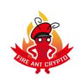 Logo saluran telegram fireantcrypto — 불개미 CRYPTO