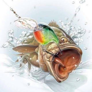 Telegram channel Первый Рыбацкий | Рыбалка 🎣 logo