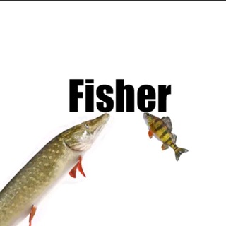 Логотип телеграм -каналу fishering — FisheringUA