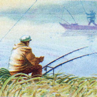 Логотип телеграм канала @fishes_43 — ВЯТСКАЯ РЫБАЛКА - Киров и область