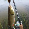 Логотип телеграм канала @fishing_kanal — РЫБАЛКА ТЕЛЕГРАММ КАНАЛ