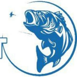 Логотип телеграм канала @fishmagnit — FishМагнит