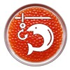 Логотип телеграм канала @fishmarket78 — Рыбная Лавка для своих