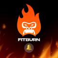 Logo saluran telegram fitburnai — FitBurn.Ai *Official Announcements*