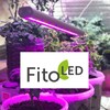Логотип телеграм канала @fito_led — Fito_LED