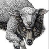 Logo of telegram channel fivepercentprivateclub — 5%
