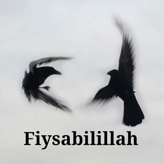 Telegram channel 🫠Fiysabilillah🫠 logo