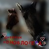 Логотип телеграм канала @fjvekpc — 🎠ДНЕВНИК КОНОБЛОГЕРА 🎠