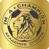 Логотип телеграм канала @fk_champion — ФК «Я Чемпион»