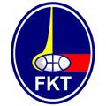 Logo des Telegrammkanals fktdeutsch - FKT deutsch