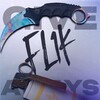 Логотип телеграм канала @fl1kcs2 — Fl1k | CS2