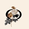 Логотип телеграм канала @flaconflowers — ФЛАКОН | Цветы | Барнаул