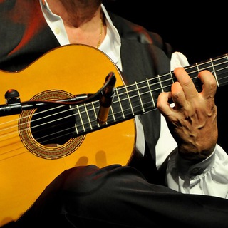 Logotipo del canal de telegramas flamenco - Flamenco