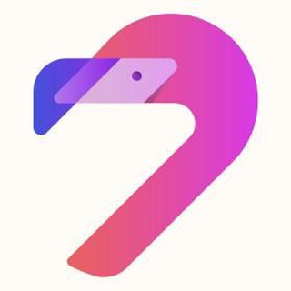Telegram channel 🦩 Flamingo Finance logo